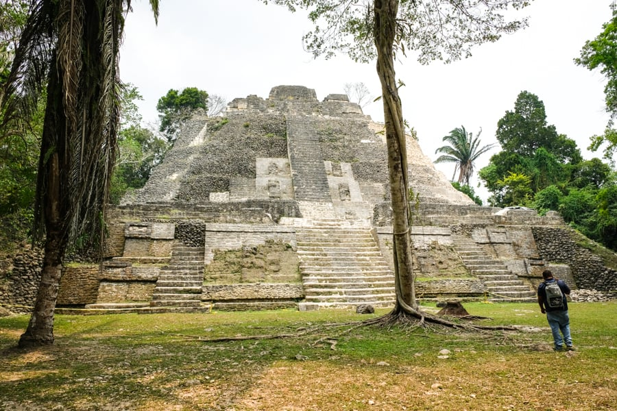 The High Temple, the tallest Mayan pyramid at Lamanai, towering above the surrounding jungle with steep stone steps and offering panoramic views of the archaeological site and dense forest in Belize.